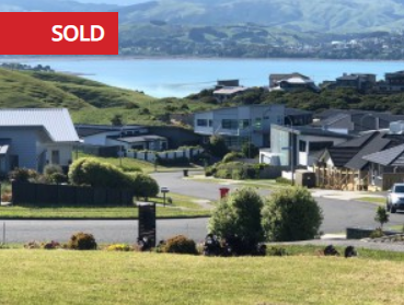 Plimmerton Property sales